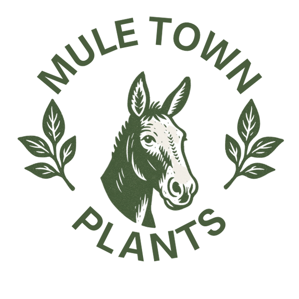 Muletown Plants